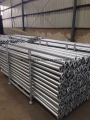 Hot DIP Galvanized Construction Material Steel Cuplock Scaffolding Ledger / Horizontal