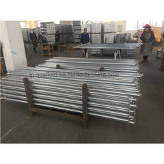 Q235 and Q345 Scaffolding Cuplock Ledger / Horizontal (TPCS001)