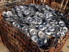 Scaffolding Limpet Coupler 