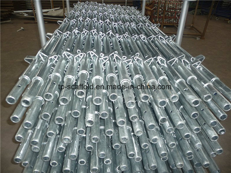 Steel Scaffold Standard/Vertical for Kwikstage Scaffolding System